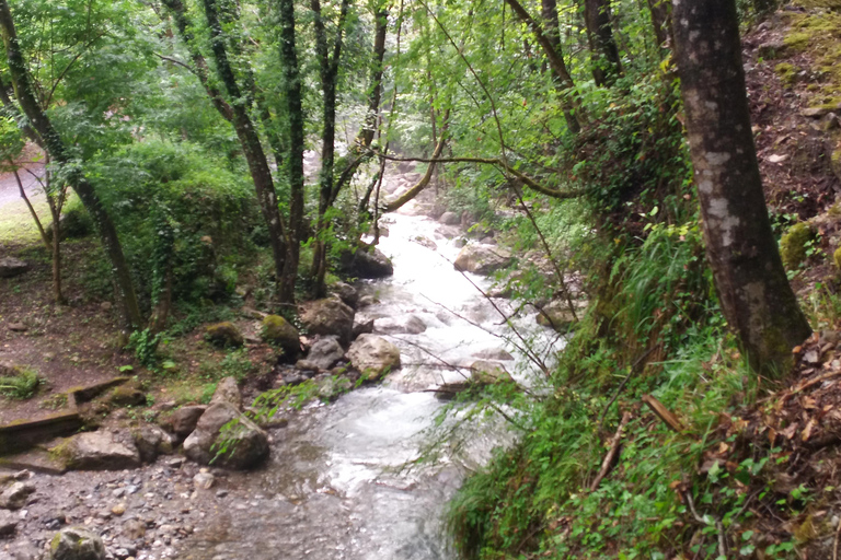 Pollino National Park: Trekking in the Argentino Nature Reserve
