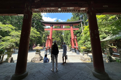 From Tokyo: Mt. Fuji or Hakone Private Sightseeing Day Trip Itinerary A: Mount Fuji