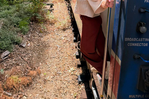 Kandy: Road-to-Rail Journey to Ella via Nuwara Eliya