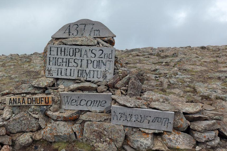 &quot;Die Wildnis erkunden: Eine 4-tägige Wanderung durch die Bale Mountains&quot;