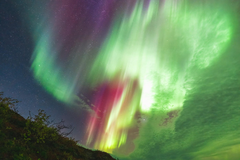 Abisko: Aurora Car Chasing Tour mit Fotografin