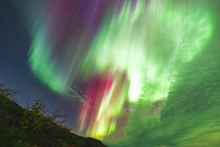 Abisko: Aurora Car Chasing Tour met fotograaf