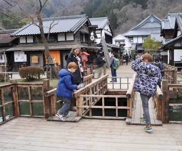Nikko em estilo: Tour particular de luxo com guia de turismo em inglês