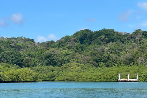 Gira 4 en 1 Portobelo, Cristo Negro, Venas Azules y Playa Blanca