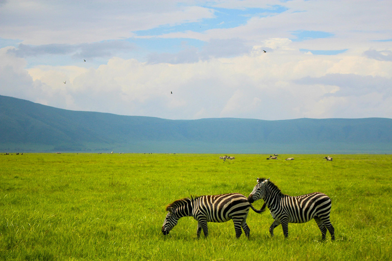 Arusha: 5-Day Safari to Tarangire, Serengeti, and Ngorongoro