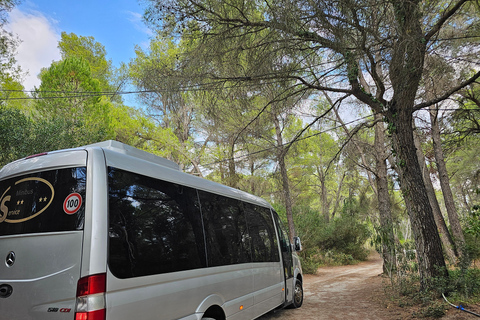 From Durrës: Divjakë-Karavasta National Park Day Trip