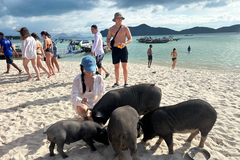 Koh Samui: Pig Island Tour by Speedboat with Snorkeling Private Tour or Cruise Ship Option