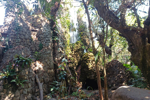 Chiang Mai: Sticky Waterfall, Big Pagoda, and Angels Land