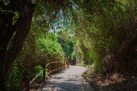 Paphos: Viagem de 1 dia a Akamas/Lagoa Azul e Banhos de Afrodite(Cópia de) Paphos: Parque Nacional de Akamas e passeio de ônibus e barco pela Lagoa Azul