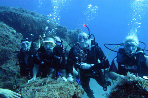 Unforgettable Diving Experience: From Beginners to Advanced