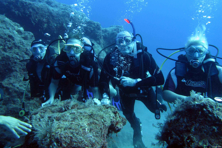 Unforgettable Diving Experience: From Beginners to Advanced