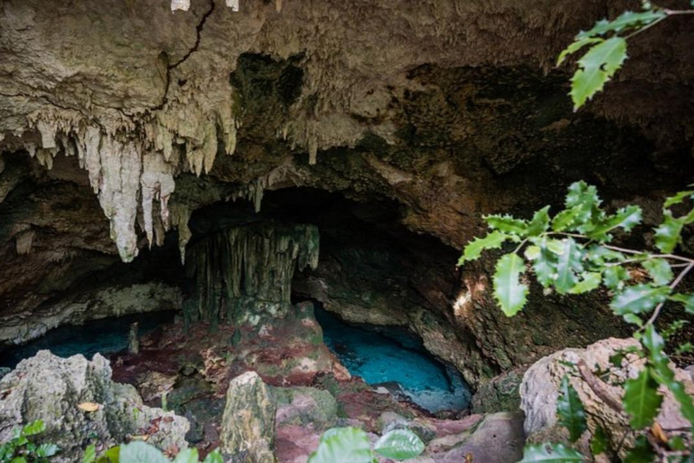 Zanzibar: Jozani Forest and Maalum Cave Guided Tour Jozani, maalum private tour with no hotel pickup