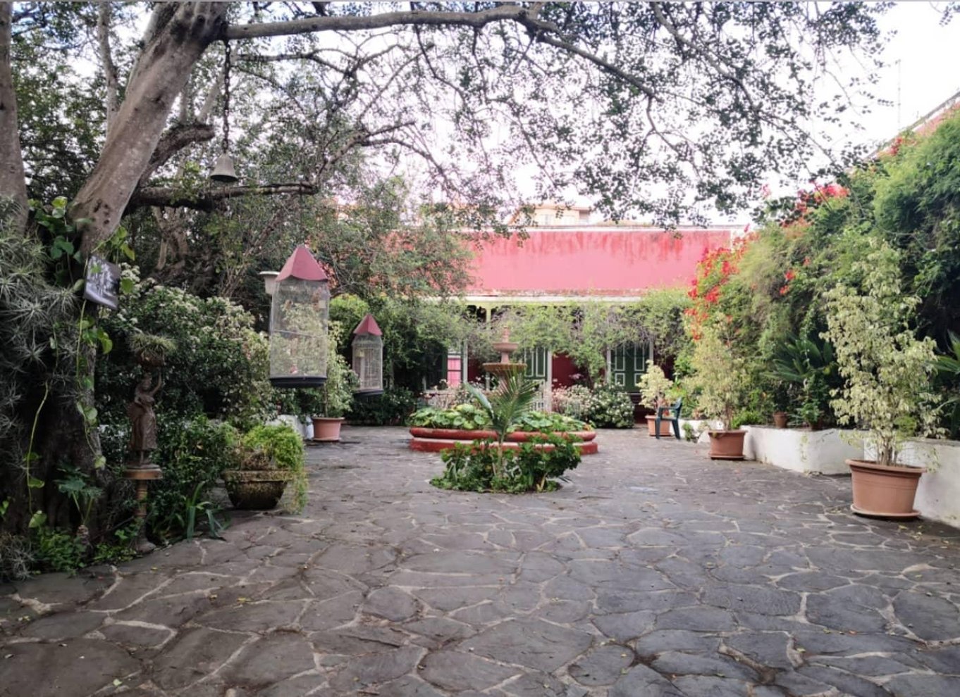 Gran Canaria: Rundvisning på vingård, vinmuseum og vinsmagning