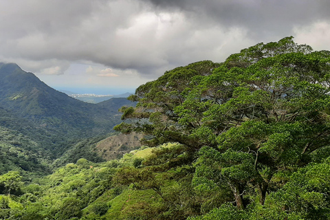 From Santa Marta: One day trek Bunkuany Archaeological site