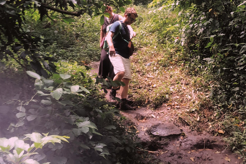 Arusha waterval, dorpswandeling en/of koffietourDorpswandeling &amp;waterval