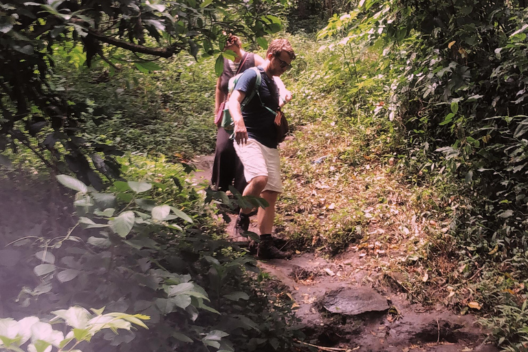 Arusha waterval, dorpswandeling en/of koffietourDorpswandeling &amp;waterval