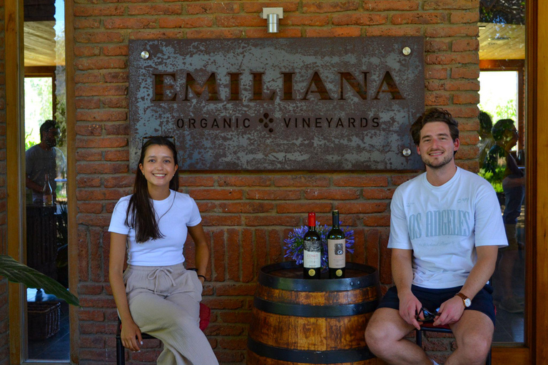 Santiago: Valparaíso Cruise Port Transfer & Vineyard Tour