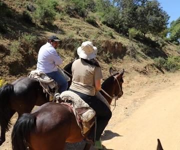 Mostazal: Passeio rural, percorre os contrafortes da Cordilheira dos Andes