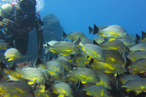 Excursão ao farol do Great Basses Reef em Kirinda (Maha Rawana)