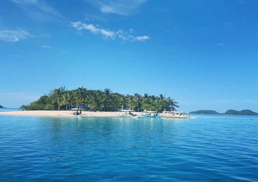 Coron Calauit Safari Park with Lunch (Joiners Tour) | GetYourGuide