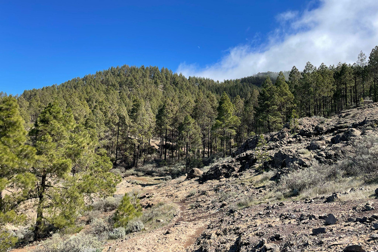 Gran Canaria: excursion to the Ventana del Nublo
