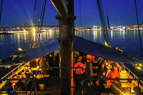 Oslo : croisière à la découverte de l'Oslofjord avec dîner de fruits de mer