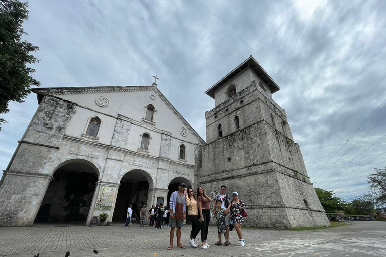 Bohol: Tour condiviso delle colline di cioccolato, dei tarsi e del fiume Loboc
