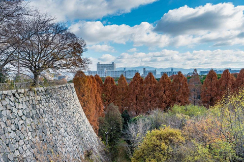 Osaka: Osaka Castle & Samurai History Walking Tour Small Group Tour with Entrance fee
