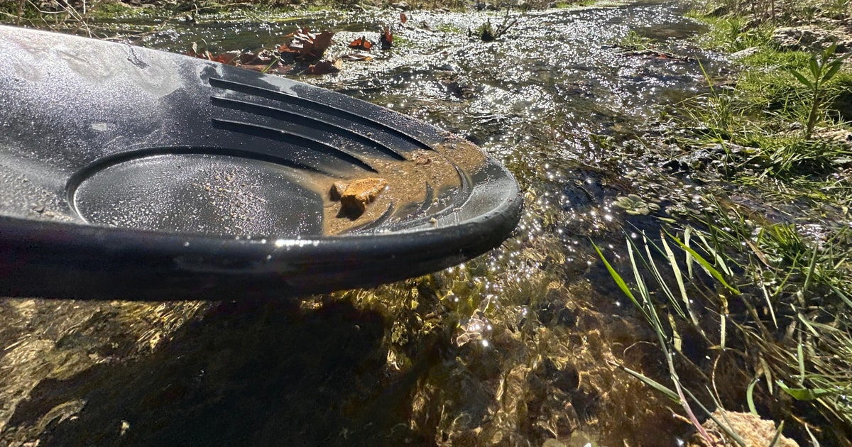 Kern County: Gold Panning Experience GetYourGuide