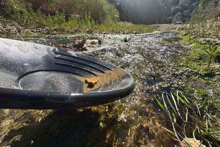 Kern County: Gold Panning Experience