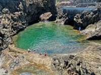 Encantador bosque de abanicos y piscinas volcánicas, maravilla virgen - Hizvo