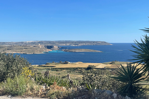 Gozo: Private Full-Day Customizable Tour with Driver & Van