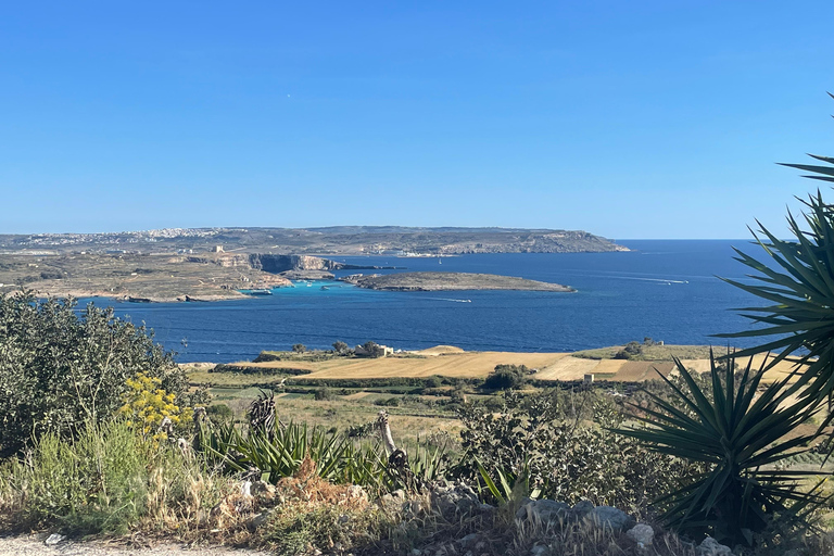 Gozo: Private Full-Day Customizable Tour with Driver & Van