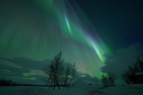 Tromsø: Northern Lights Tour – Unlimited Chase & Free Photos 6-8 Hours, Aurora chase, Comfortable bus, Photos included
