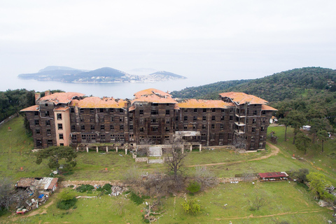 Depuis Istanbul: visite à pied d'une journée à Büyükada