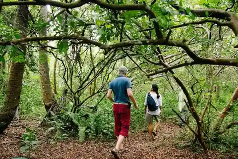 excursión de un día al bosque de Jozani y al acuario de Baraka
