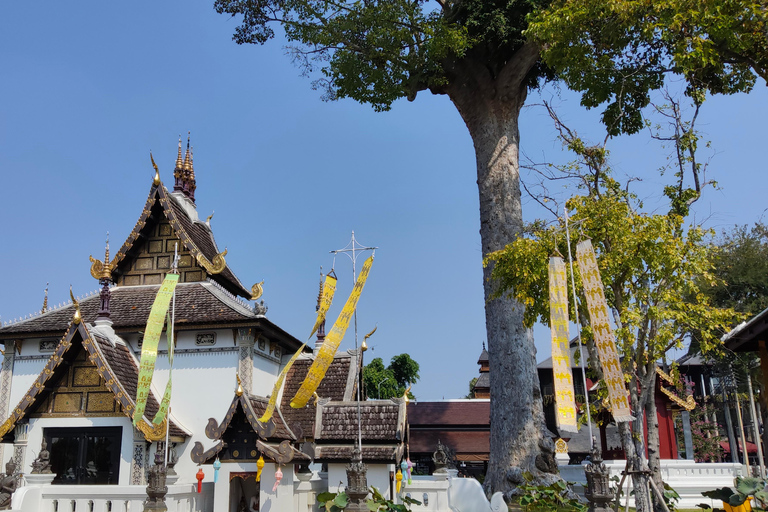 Chiang Mai: Temples & Old City Hidden Gems with local guide Private Tour (with transfer)