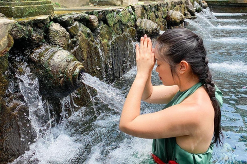 Tour privato di ubud Teracce di riso, templi e cascate segrete