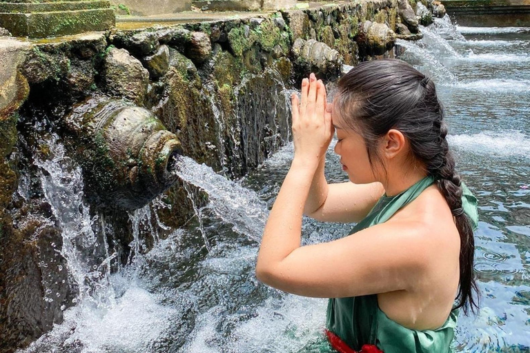 Tour privato di ubud Teracce di riso, templi e cascate segrete