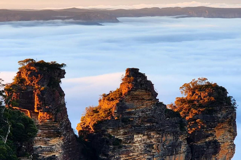 Blue Mountains Adventure: Wild Boar Rock & Cable Car Boutique minibus group tour - fixed meeting point