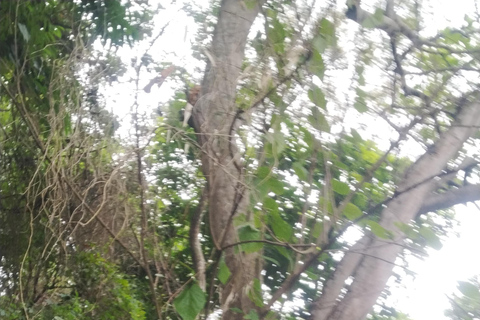 أكرا: جولة إرشادية لمدة 7 أيام للتعرف على التاريخ والتراث في غانا