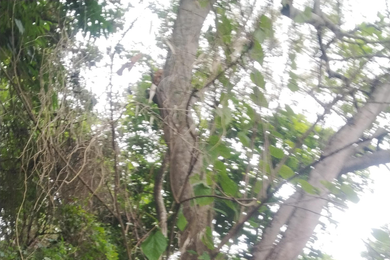 أكرا: جولة إرشادية لمدة 7 أيام للتعرف على التاريخ والتراث في غانا