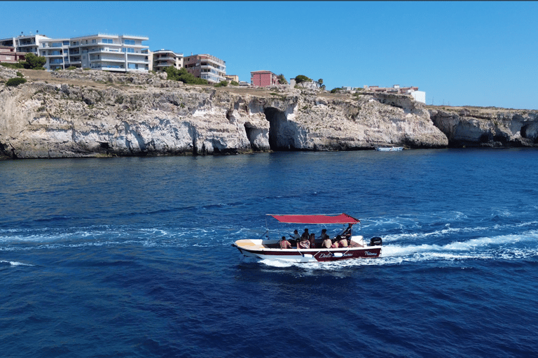 Syracuse: Ortigia Island and Sea Caves Boat Tour