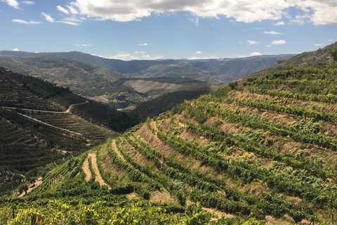 Porto to Douro Valley Private tour in a 4x4 like a native Privat tour Offroad Douro Valley