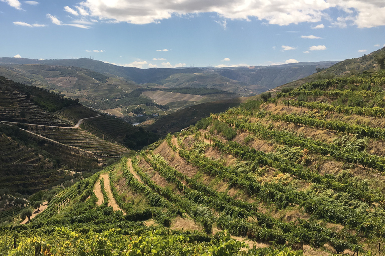 Porto to Douro Valley Private tour in a 4x4 like a native Privat tour Offroad Douro Valley