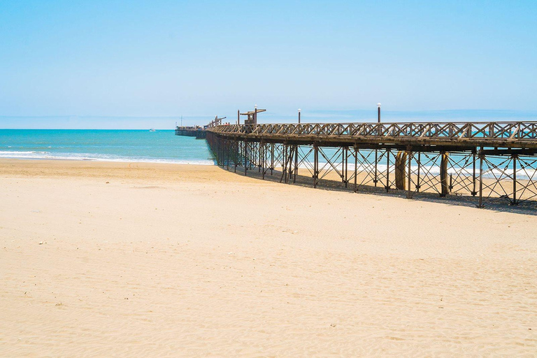 Pimentel Coastal Wonders i doświadczenie na farmie strusi