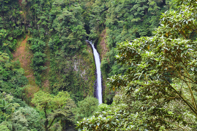 La Fortuna: Peñas Blancas River Safari & Waterfall and Lunch
