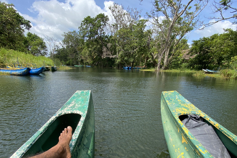 Excursión y safari por el pueblo de Habarana