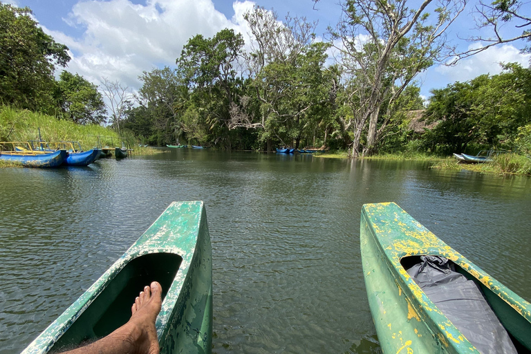 Excursión y safari por el pueblo de Habarana