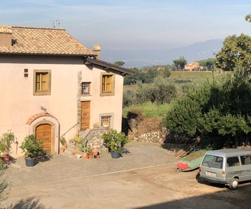 Strada del Vino di Frascati da Roma: Degustazione e pranzo